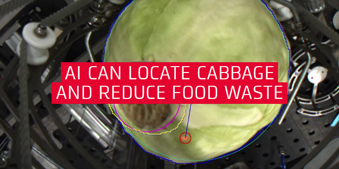 AI can locate cabbage and reduce food waste
