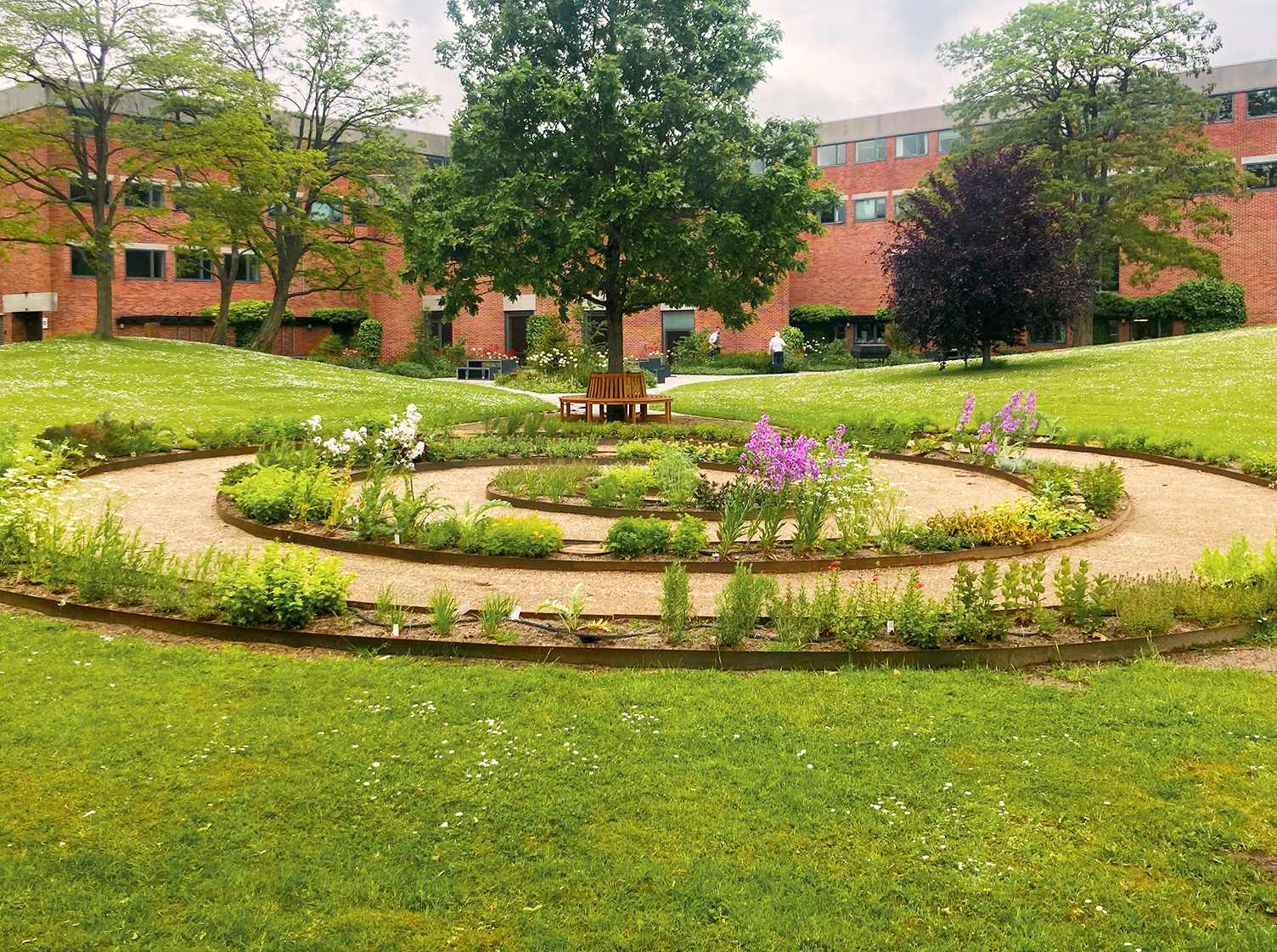 Foto af omr�det omkring Teknologisk Institut