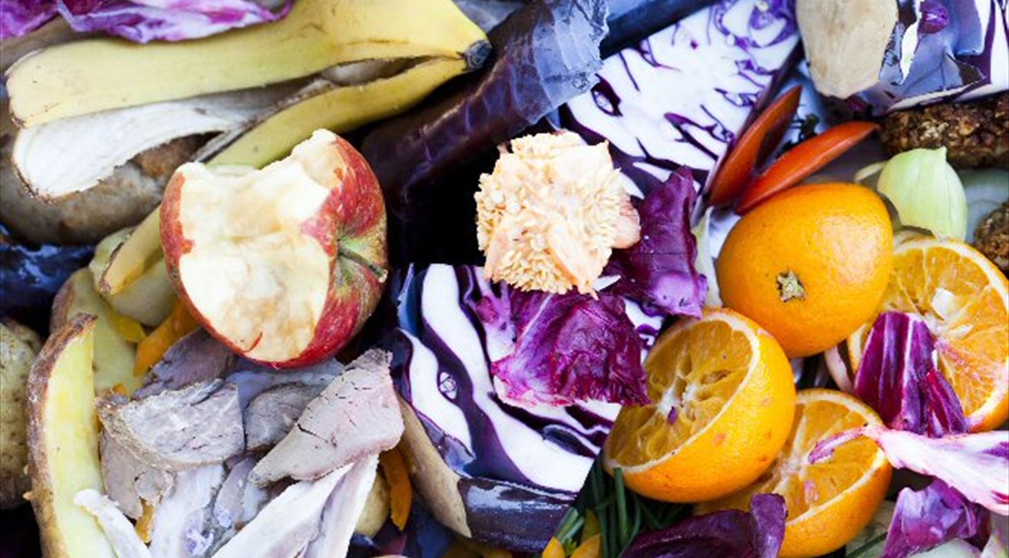 Food waste Danish Technological Institute