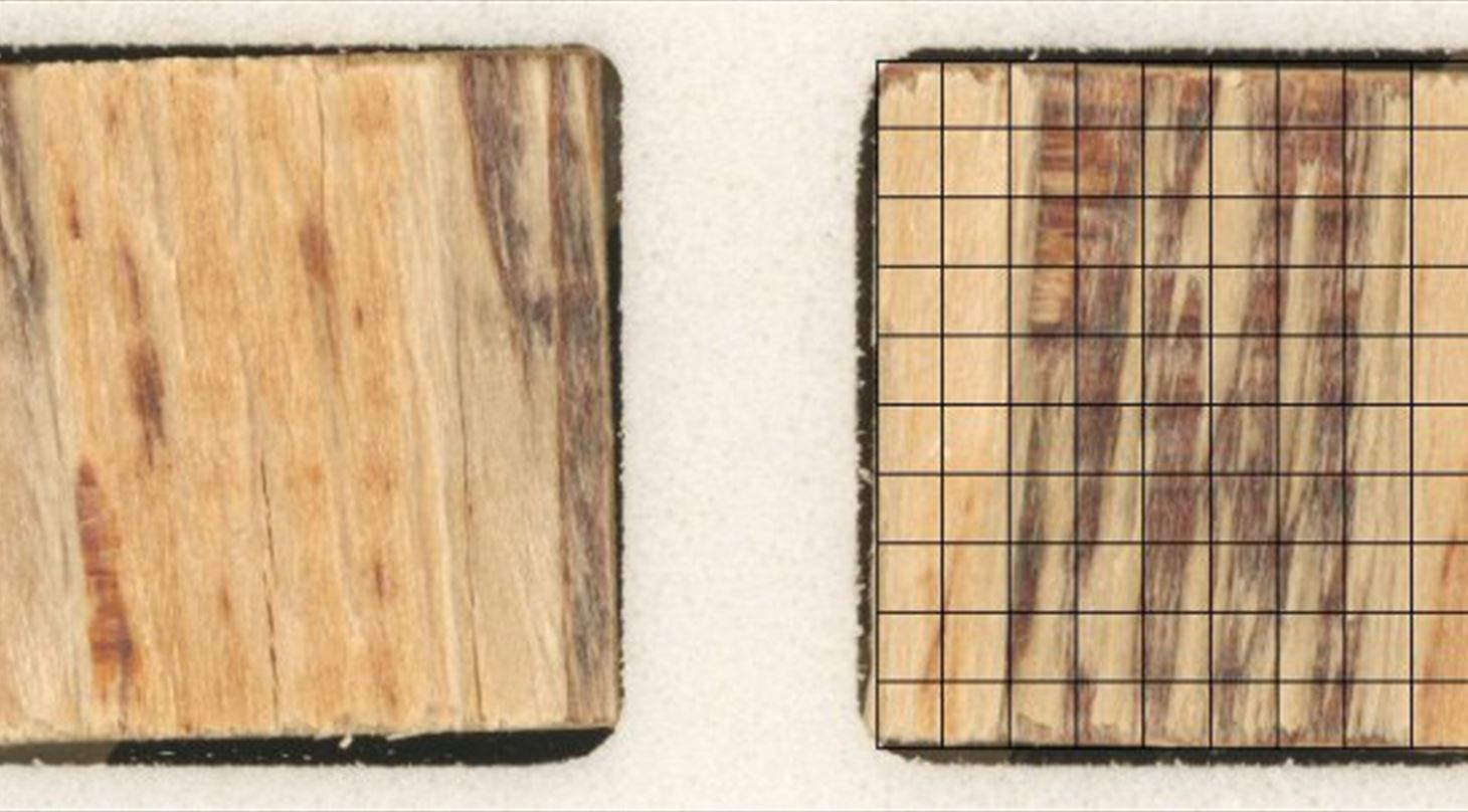 Plybond