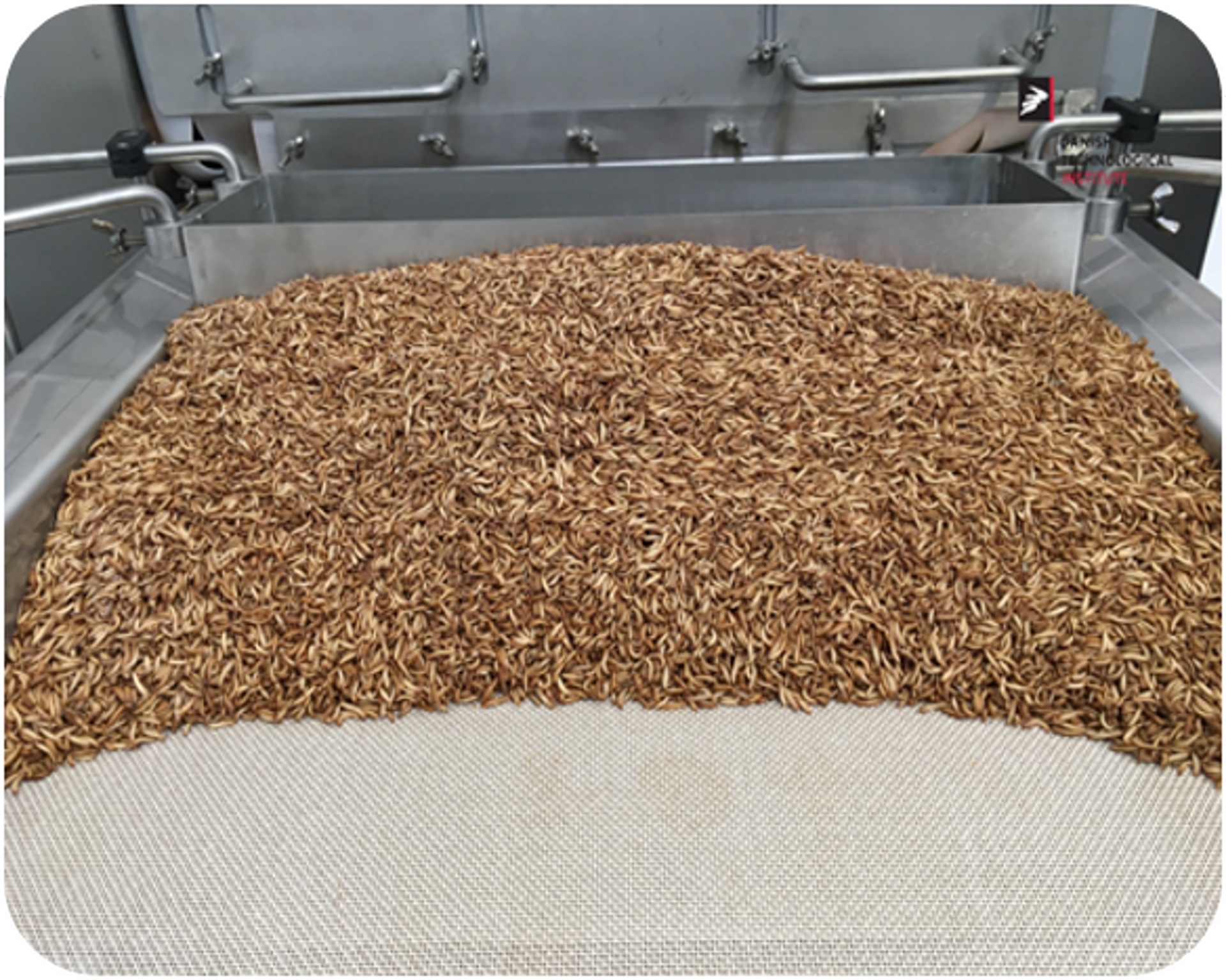 Insects - 2. Processing - Danish Technological Institute