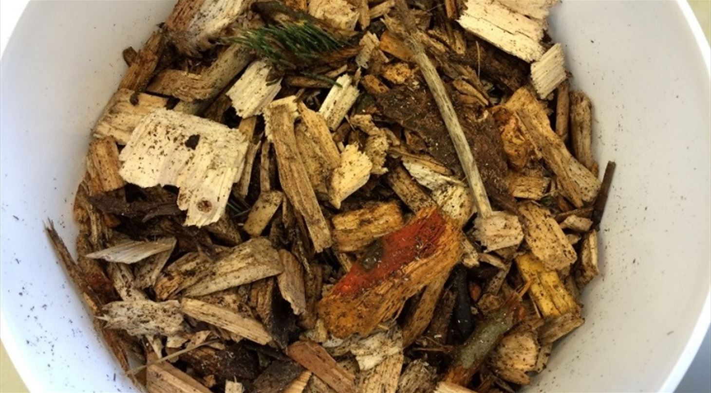 Soft online sporbar m�ling