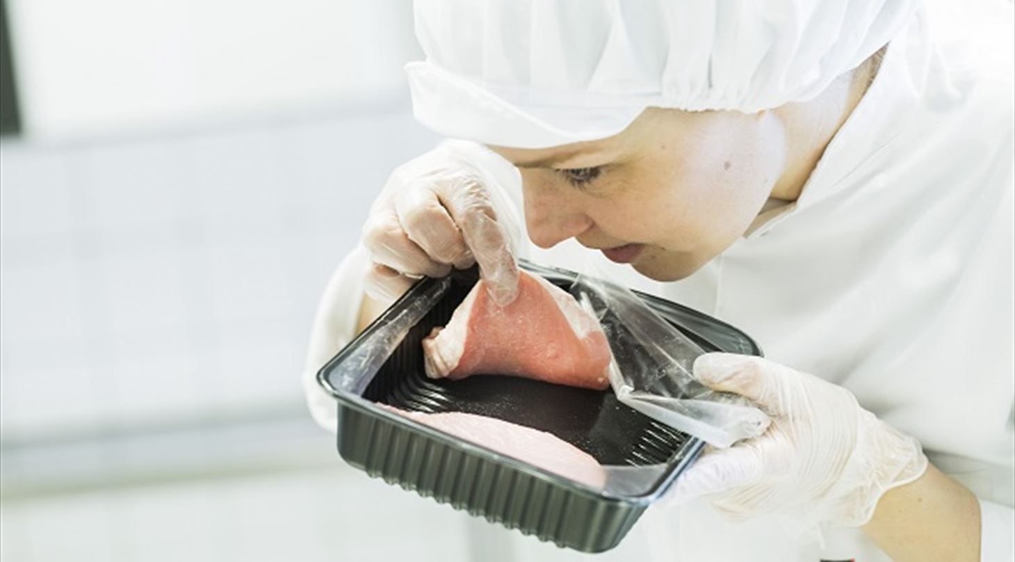 Boar taint odour and flavour - Services - Danish Technological Institute