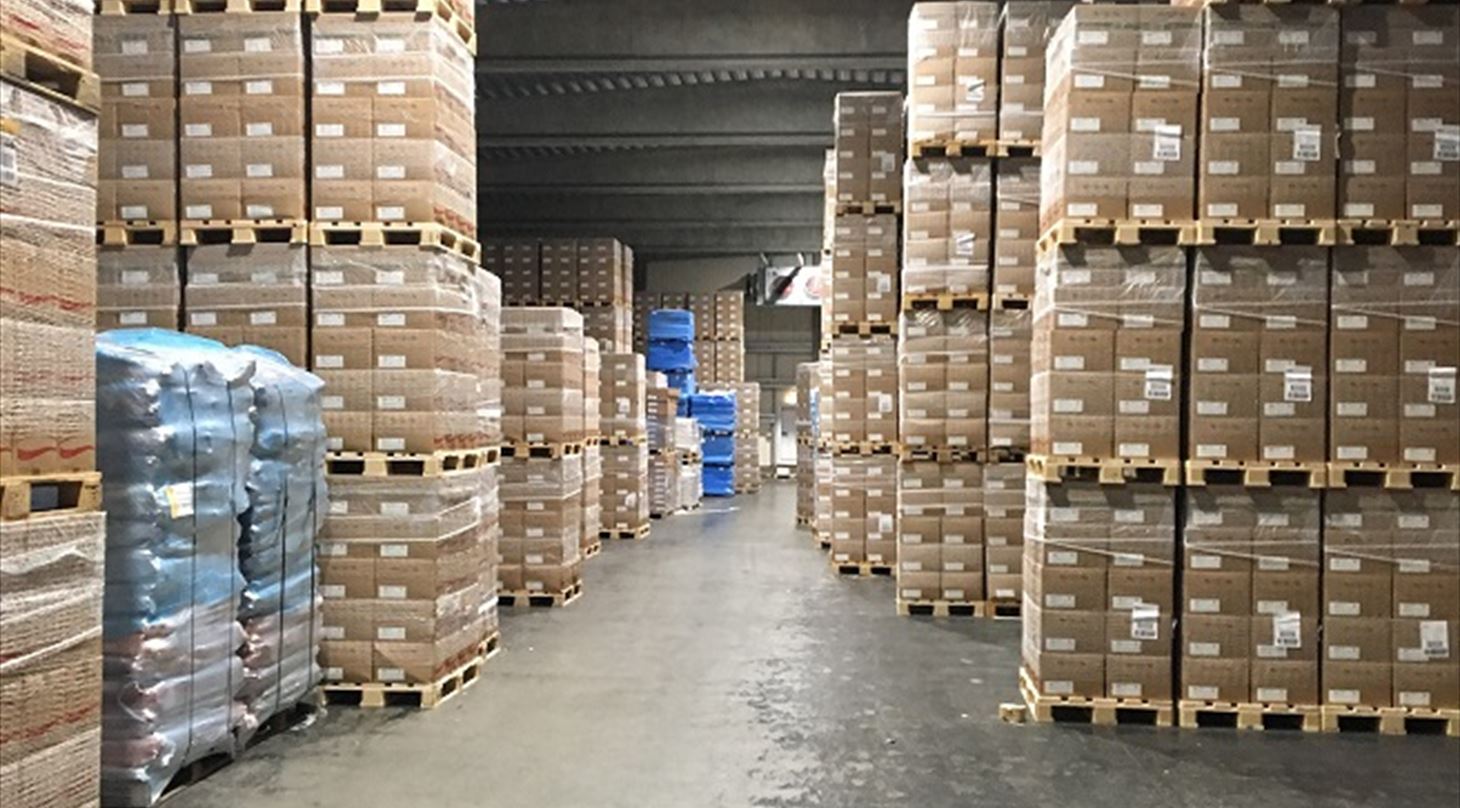 Optimal Frozen Meat Export