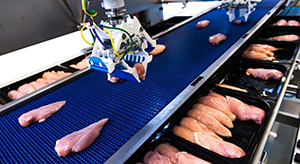 robotgriber der løfter kyllingefilet af transportbånd