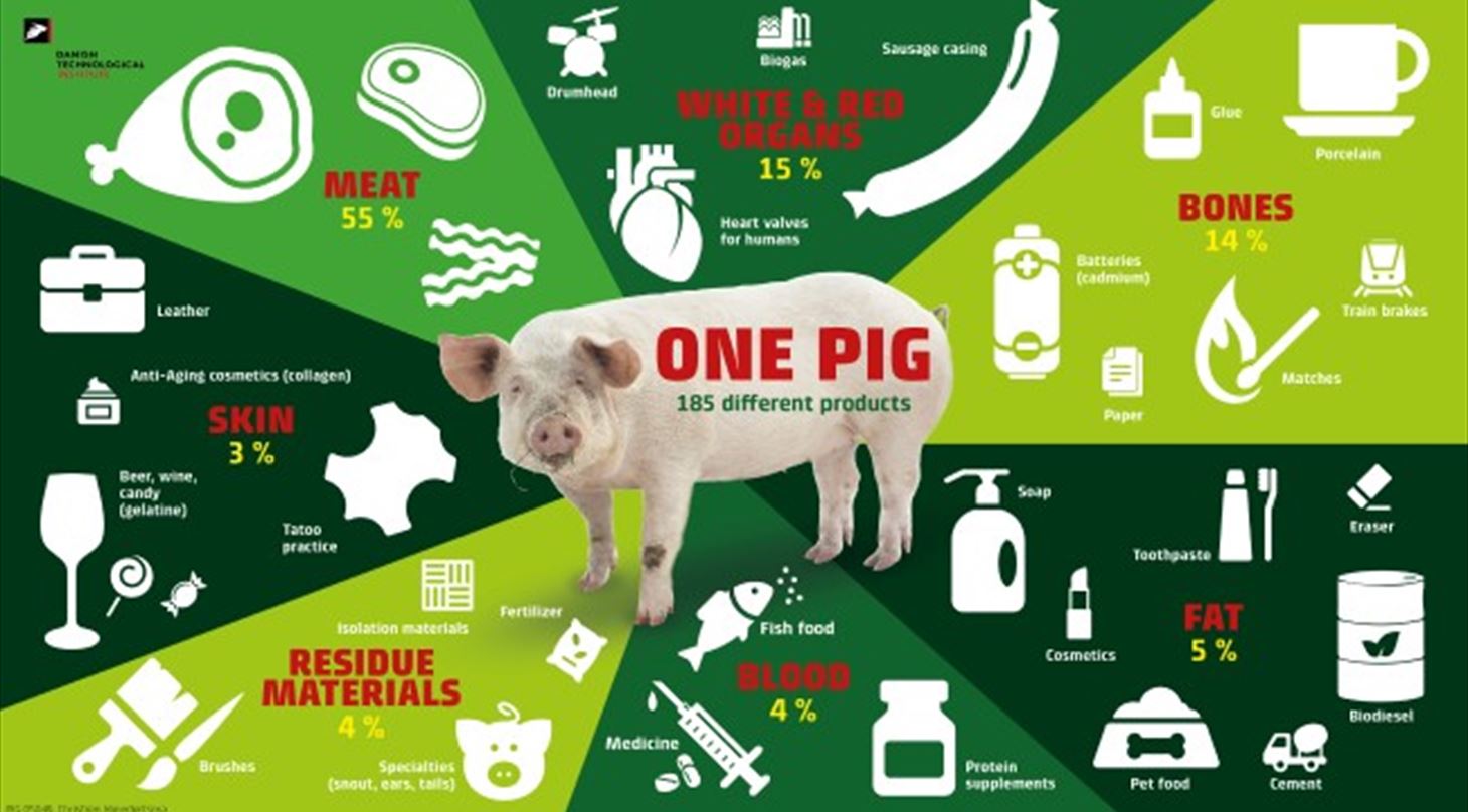 One pig - 185 products
