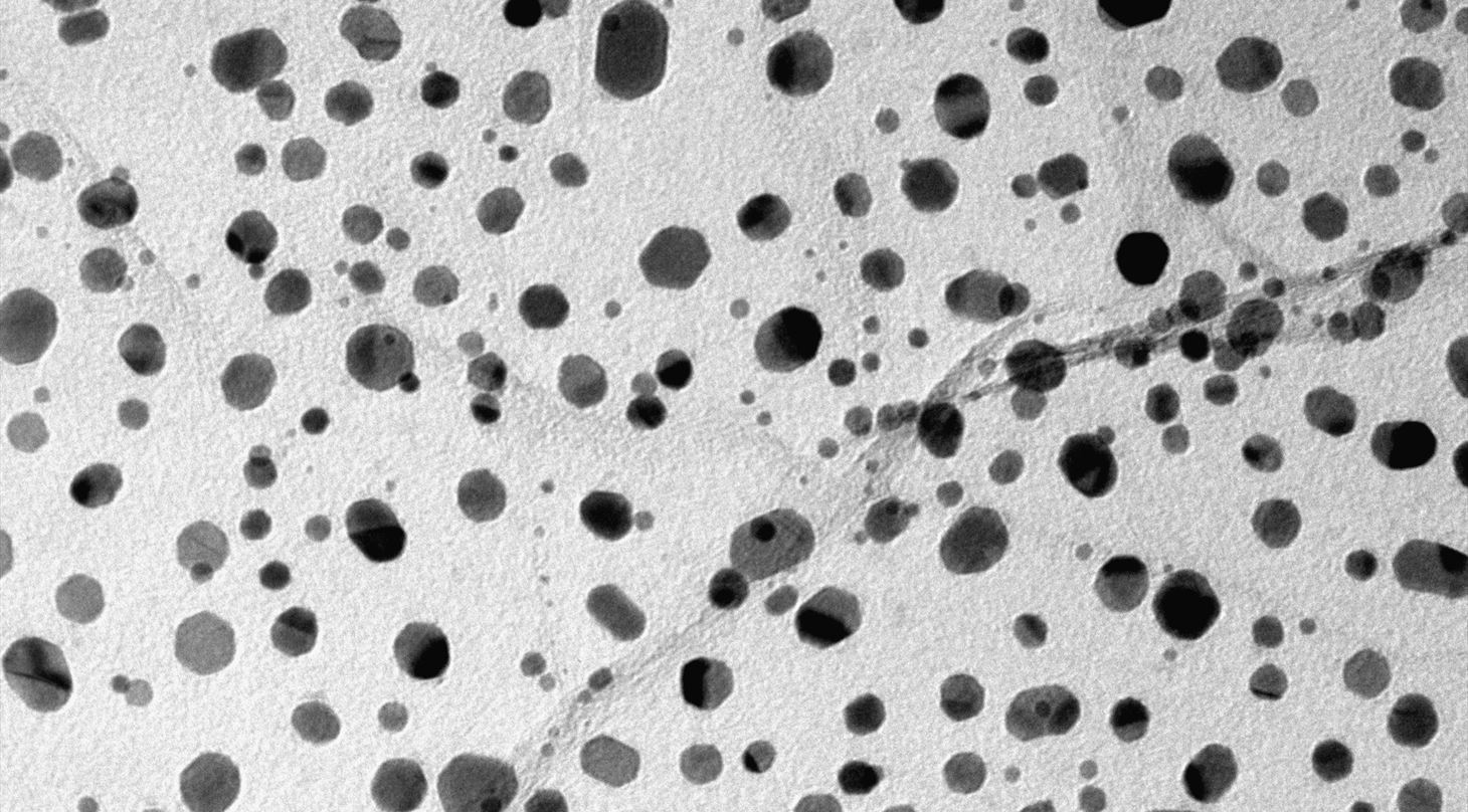 nanoparticles as seen in an transmission electron microscope
