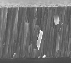 Cross-sectional SEM image of the newTiN-HP-LT coating at the Tribology Centre