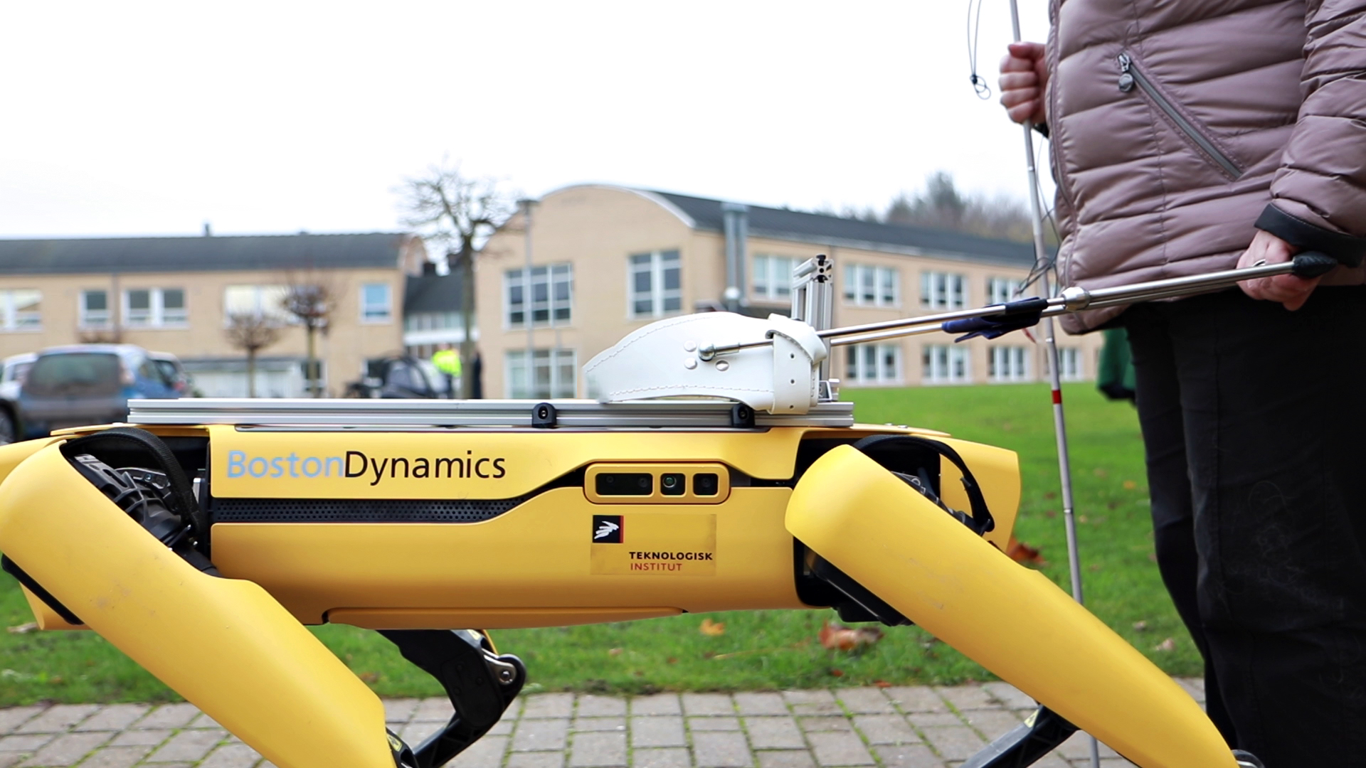 Spot the robot a complementary guide dog for the blind Danish