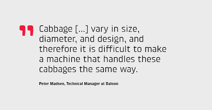 Cabbage [...] vary in size, diameter, and design, and therefore it is difficult to make a machine that handles these cabbages the same way.