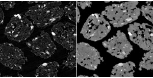 Sammenligning af tværsnit fra virtuelle pellets fra mikro-ct og HiP-CT