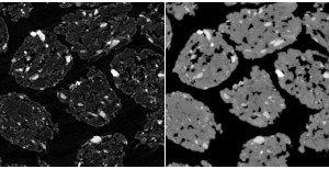 Sammenligning af tvrsnit fra virtuelle pellets fra mikro-ct og HiP-CT
