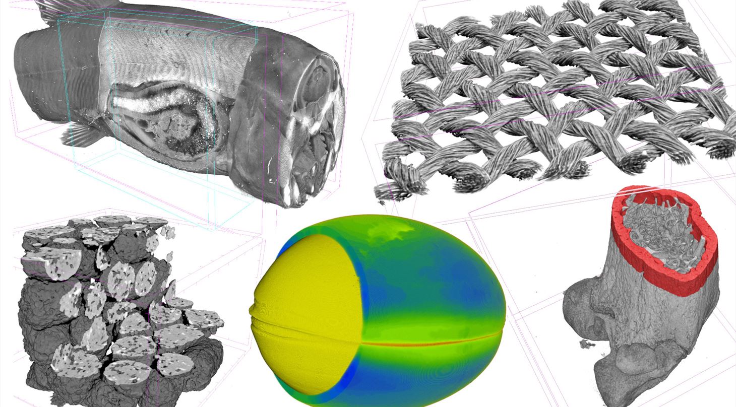 Kollage af 3D visualiseringer fra røntgen og HiP tomografi