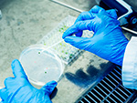 DTI BioSolutions - bio-scavenge valuable ressources with us