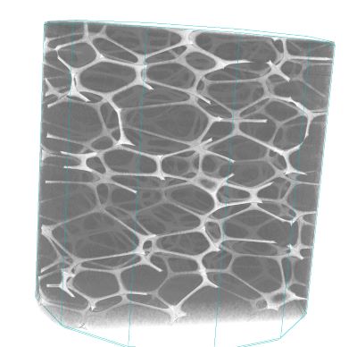 Flower arrangement foam measured with phase contrast tomography with sub-micron resolution