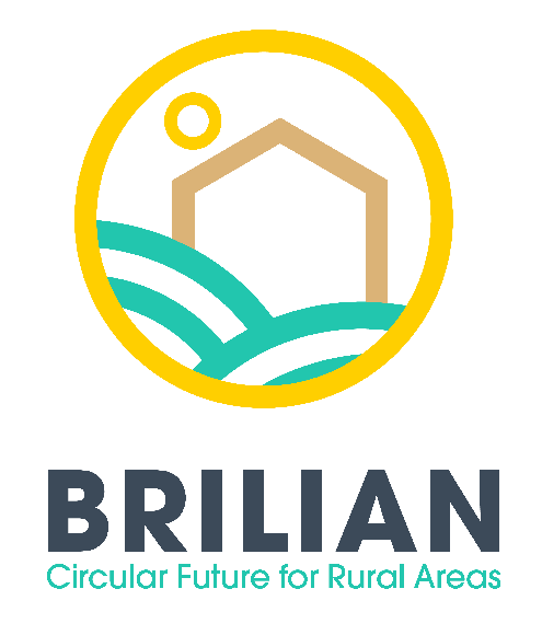 BRILIAN - Logo