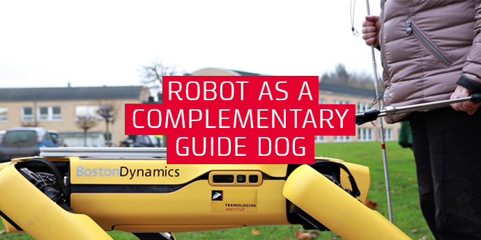 Robot as complementary guide dog