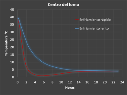 Espanol 3