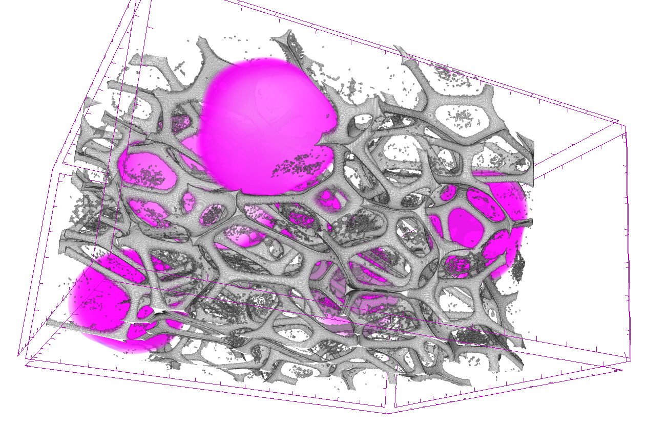 Ball filling model used to analyse flower foam. Only the largest pores are filled in this image.