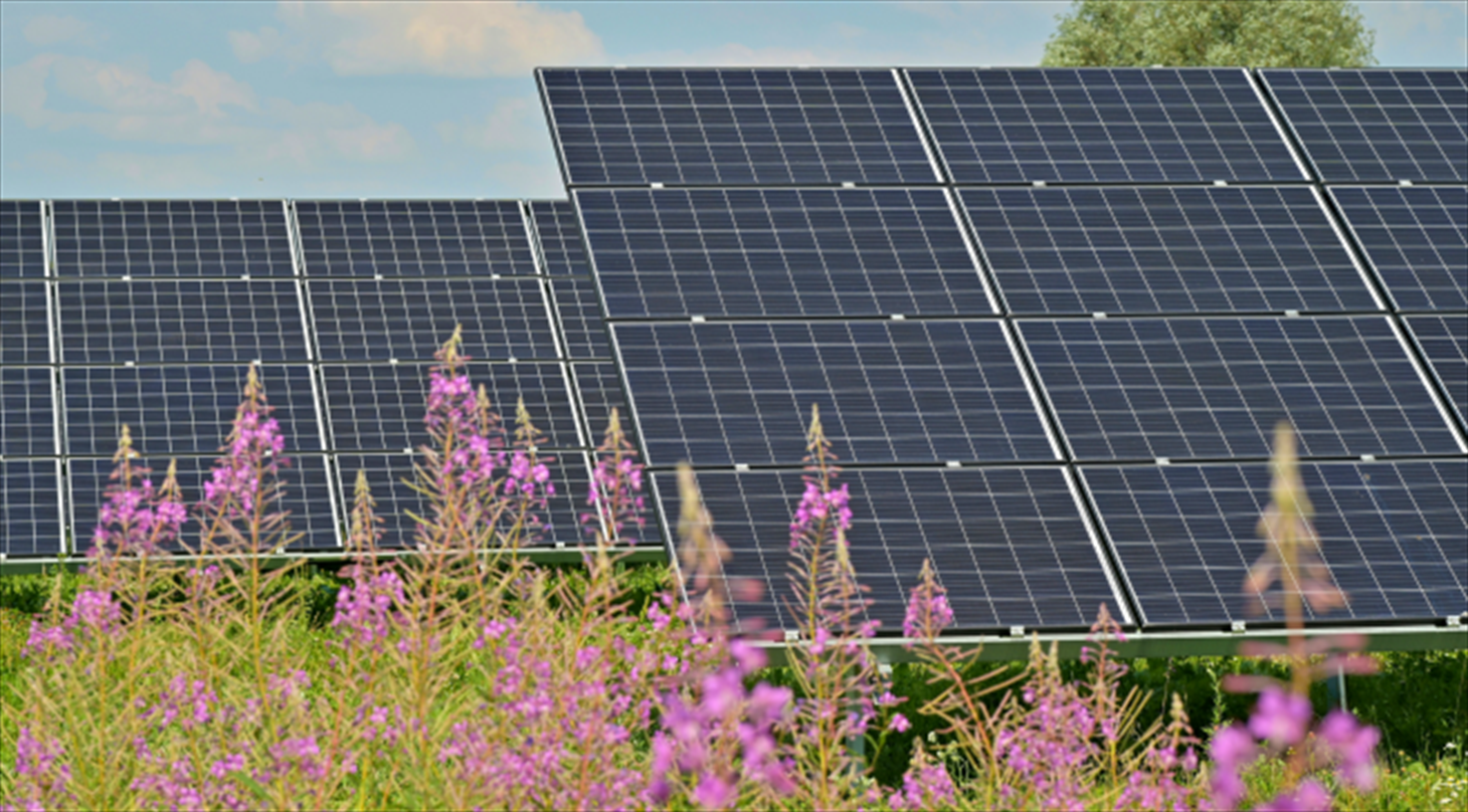 Solar Panels