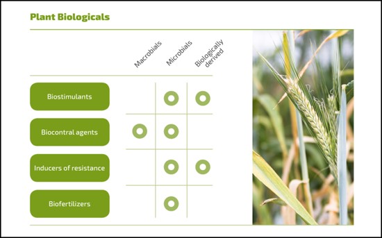 Infographics om forskellige plant biologicals