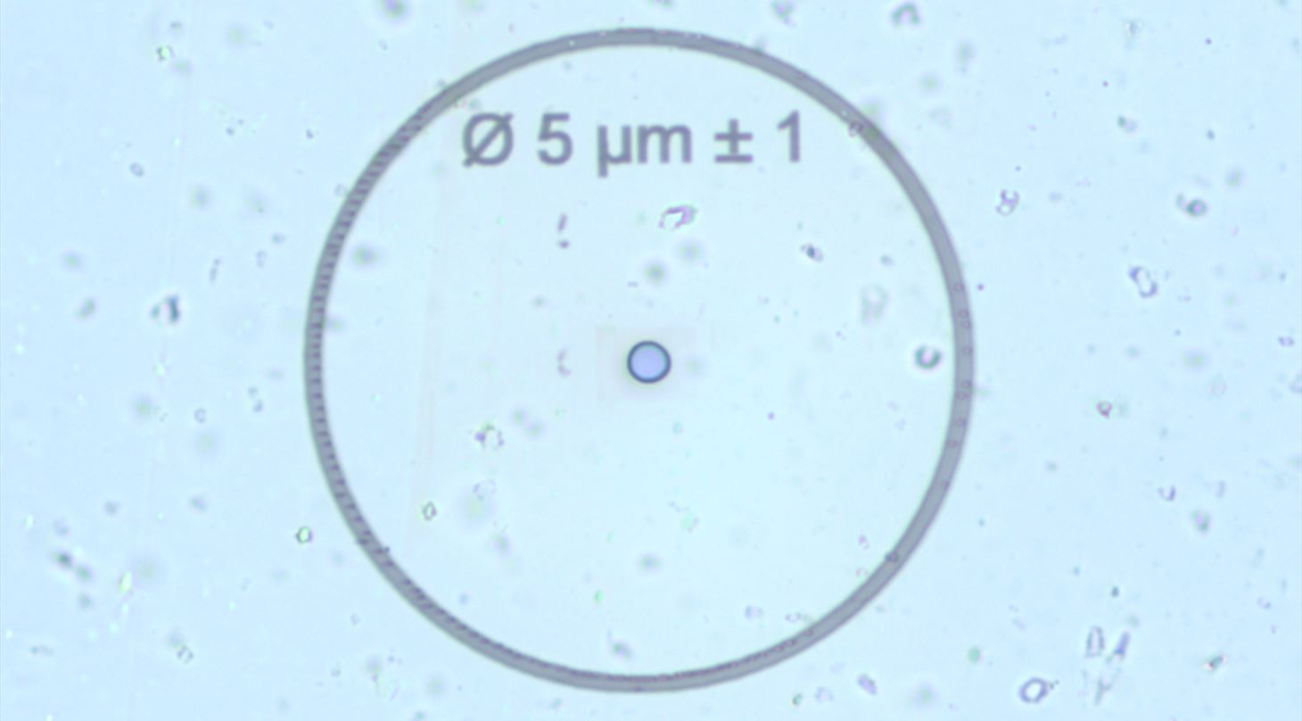 Lysmikroskopbillede af et 5µm pinhole fremstillet i tynd plastikfolie.