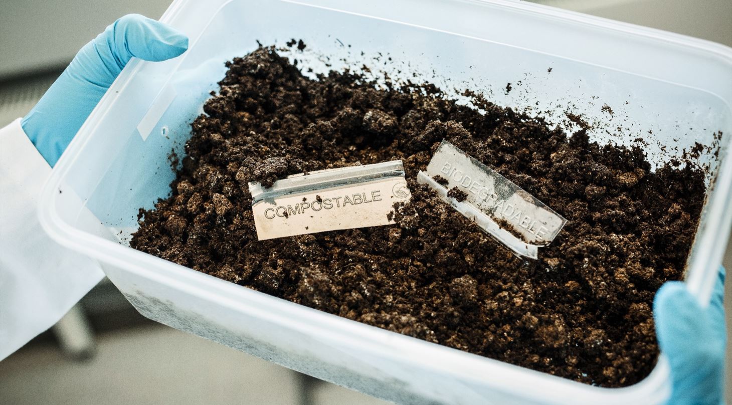 Picture of compost and biodegradibility