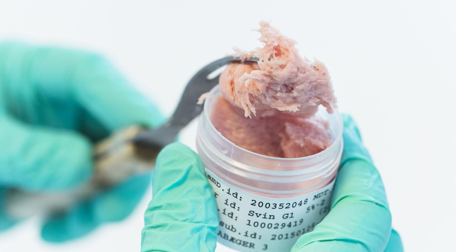 Kemisk lab analyse af fdevarer