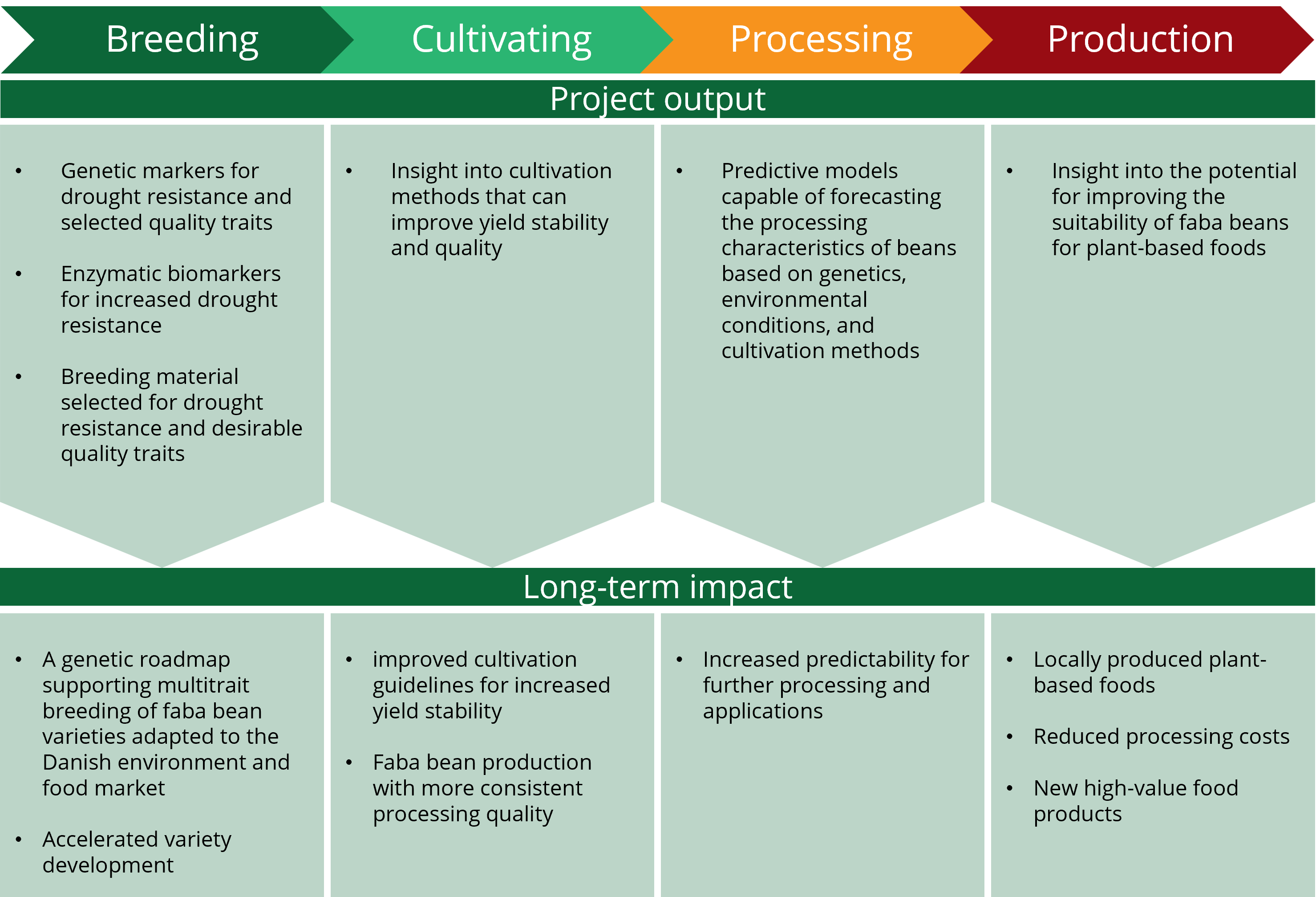 Faba Puzzle: Strengthening the Value Chain for Plant-Based Foods - optimising the Potential of Faba Bean