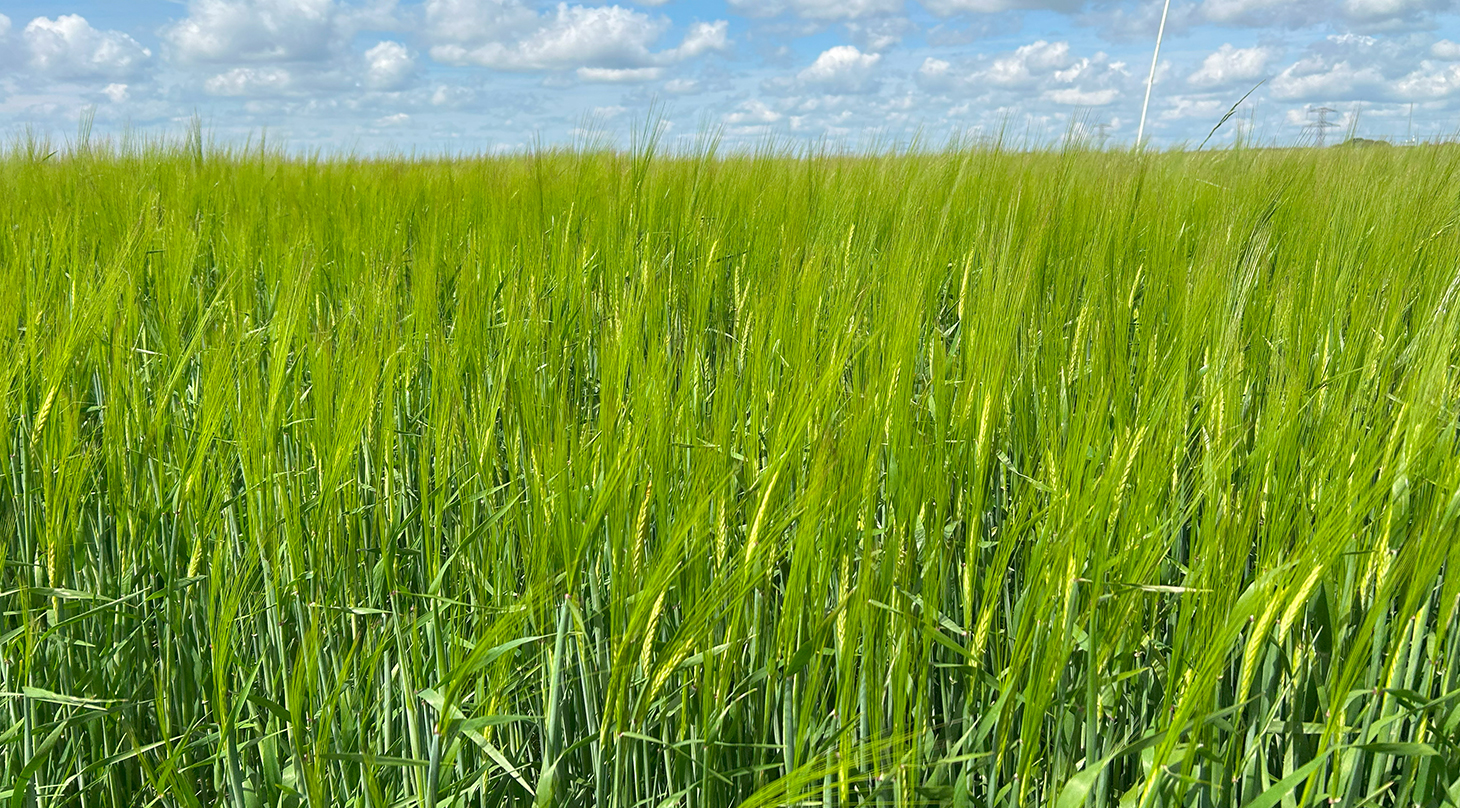 Vi hjælper dig med at optimere planteværn og flydende gødning gennem avanceret teknologi
