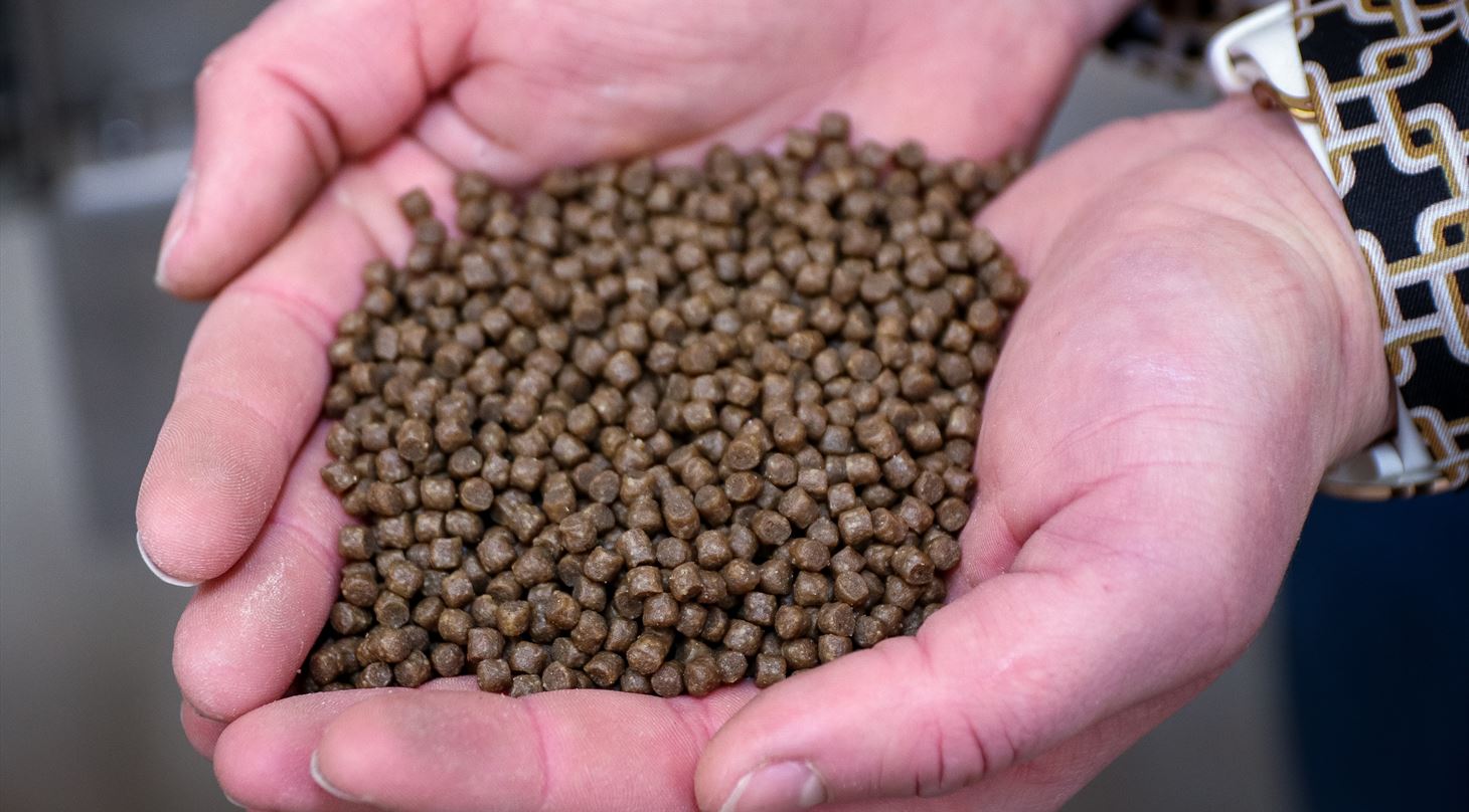 Ekstrudering af fodder