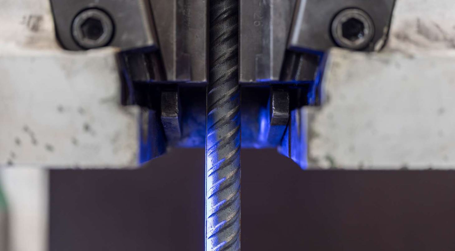 Close-up af tr�kpr�ve