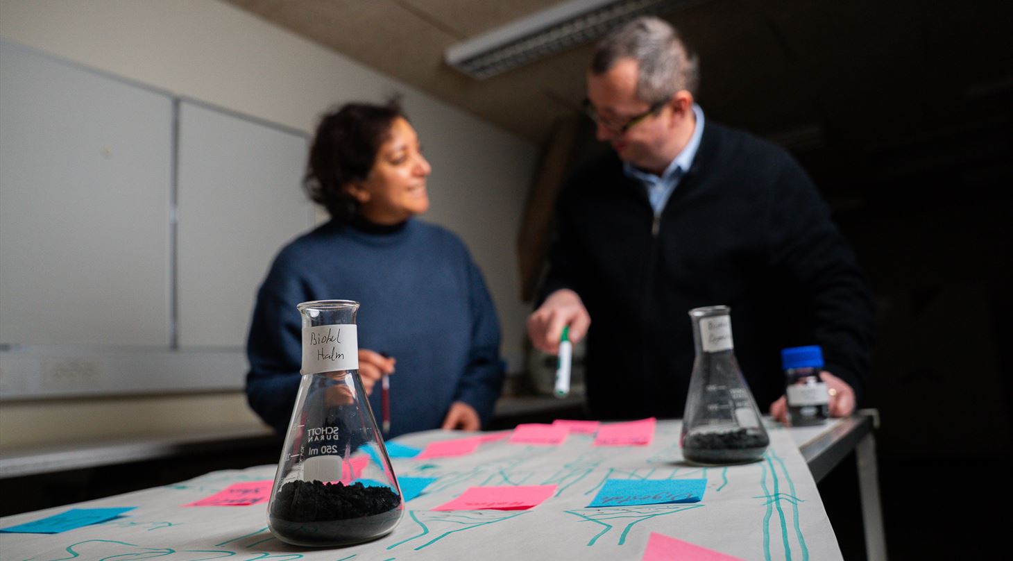 Brainstorm mellem Arezoo og Sanin