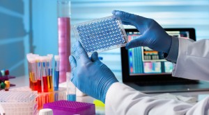 Strukturel karakterisering af biomolekyler med SAXS