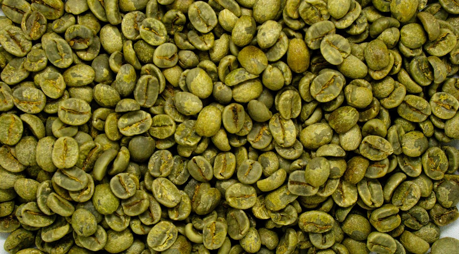 SPORE projektet tester teknologi for tidlig opdagelse af skimmel i kaffe, korn og nødder.